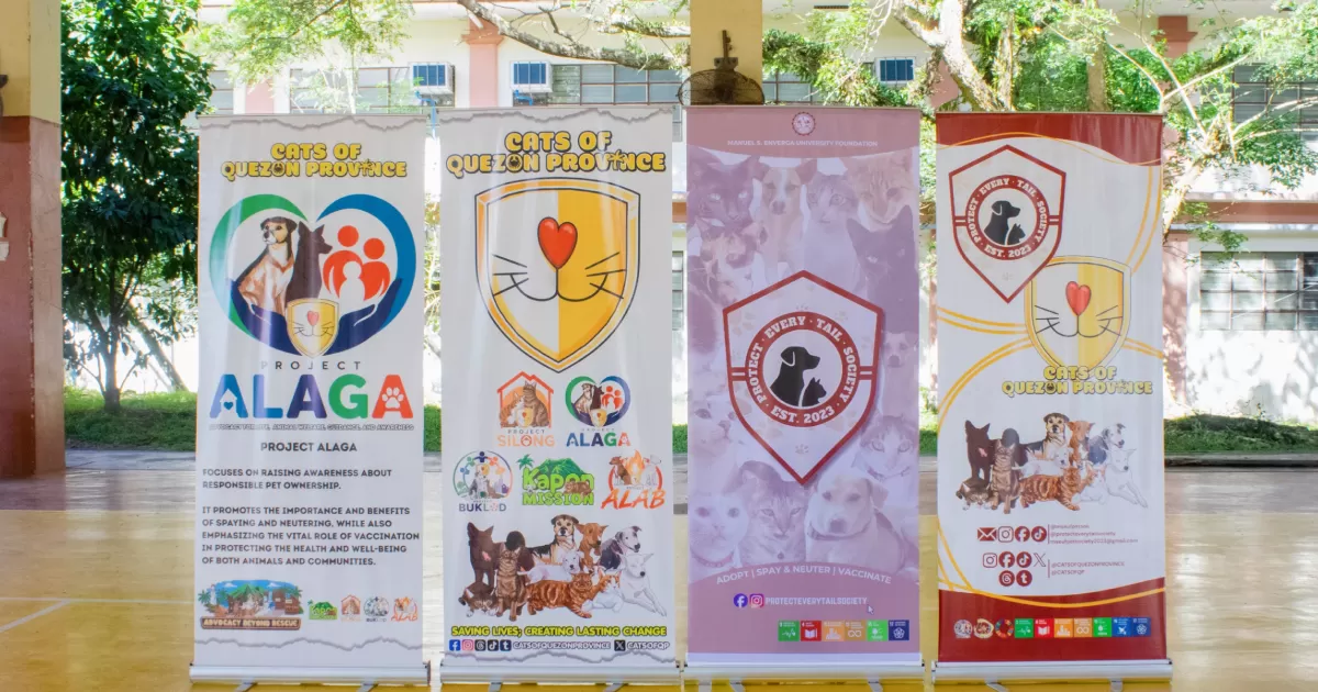 PETSoc leads low-cost spay, neuter and free anti-rabies drive